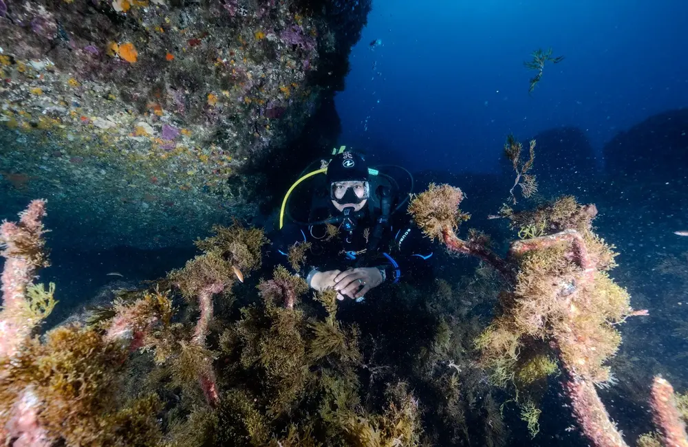 Centre de plongée Chems Diving Belyounech - Maroc - Baptême/plongée découverte - ChemsDiving2