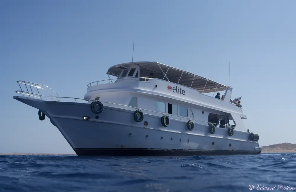 Centre de plongée Elite Diving with Divers United - Égypte - Baptême/plongée découverte - Elite Boat