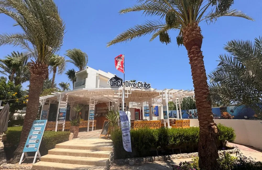 Centre de plongée ORCA Diveclub Safaga - Égypte - Baptême/plongée découverte - OrcaSafaga voyageplongee2