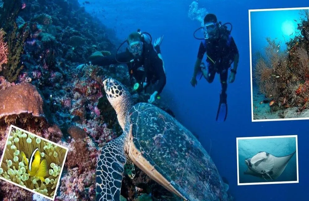 Centre de plongée The Underwater Institute, by Maldives Passions - Atolls du Nord - Baptême/plongée découverte - voyage plongee maldives passion plongeur