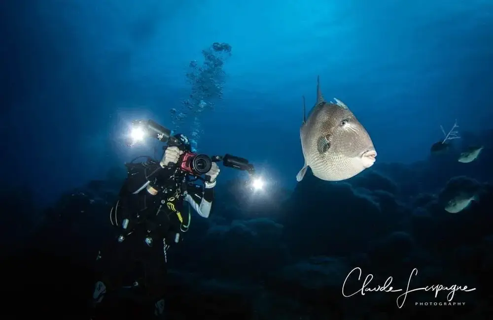 Centre de plongée Meridiano Cero - Atlantique - Baptême/plongée découverte - voyage plonge espagne canaries poisson