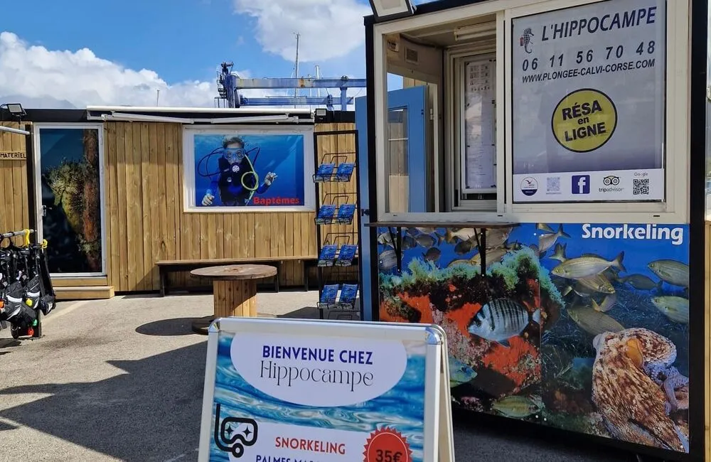 Centre de plongée Hippocampe Calvi - Corse - Baptême/plongée découverte - Voyage plongee Corse Hippocampe Corse calvi