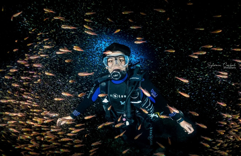 Centre de plongée Réunion Diving - La Réunion - Baptême/plongée découverte - voyage plongee la reunion night dive