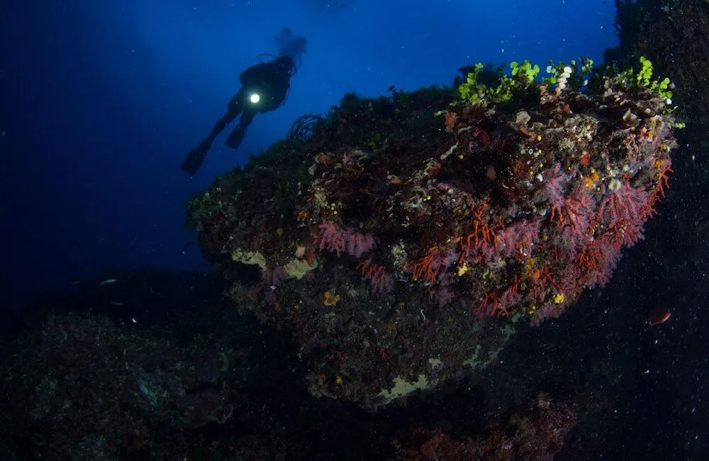 Centre de plongée BOSA DIVING CENTER - Italie - Baptême/plongée découverte - BosaDivingCenter voyageplongee