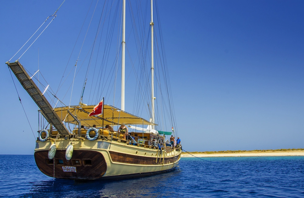 Centre de plongée Msy Elegante - Djibouti - Baptême/plongée découverte - voyage plongee djibouti elegante